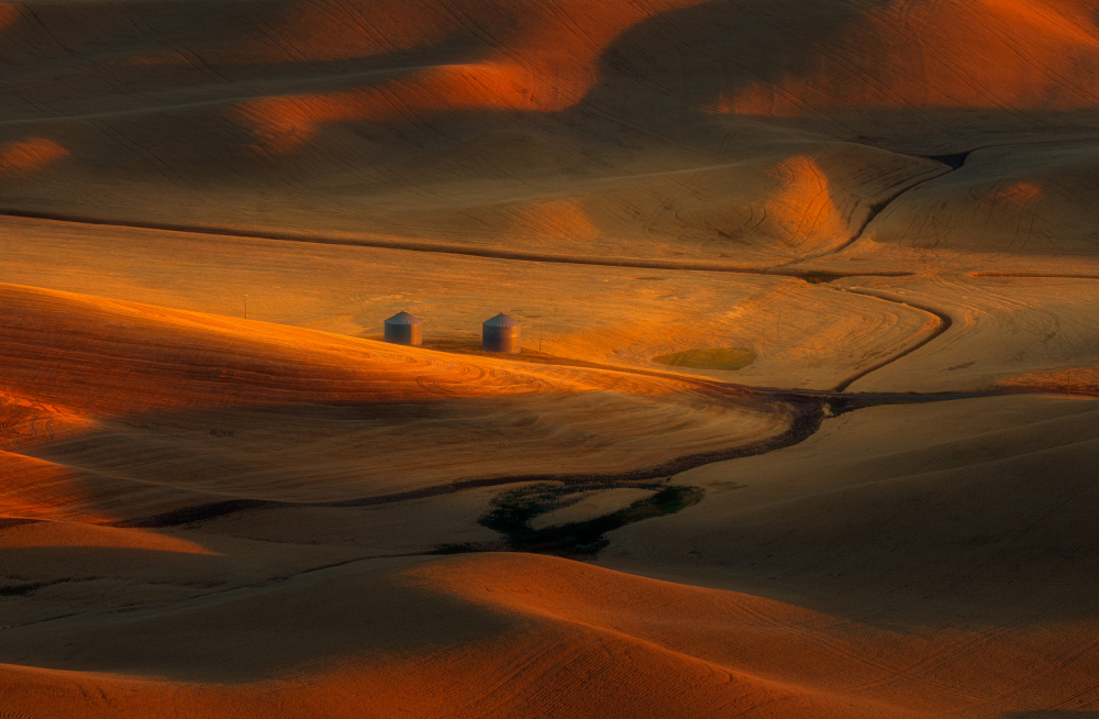 Under Golden Light von James Lu