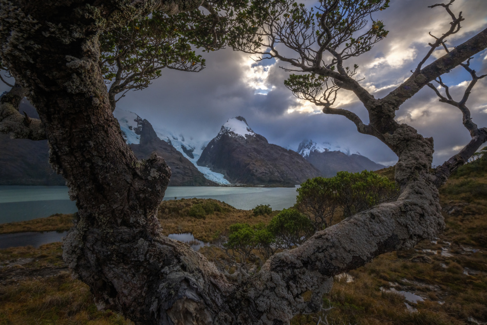 Window of Glaciated Mountains von James S. Chia