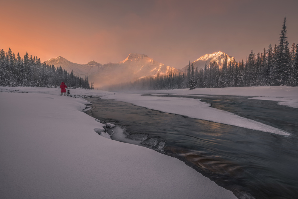 Early Bird von James S. Chia