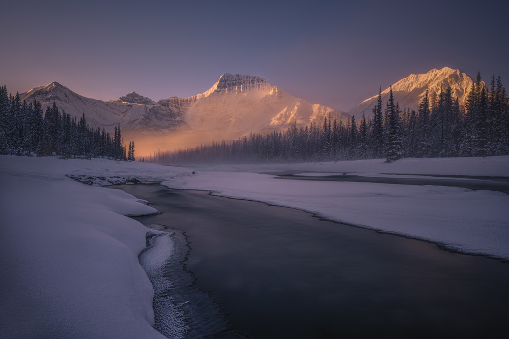 Natures Beam Light von James S. Chia