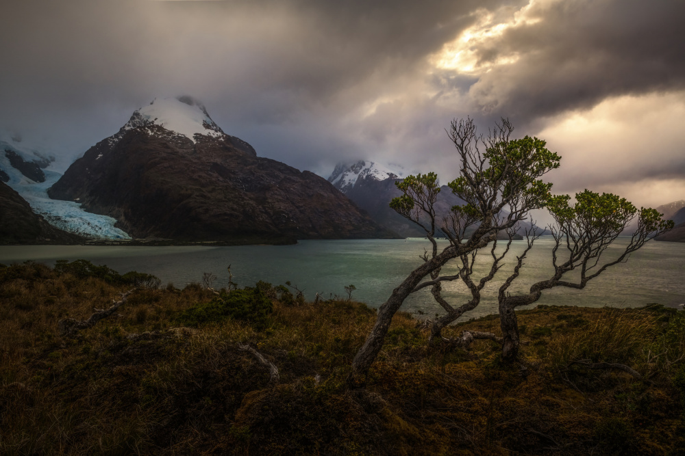 Southernmost Fjords von James S. Chia