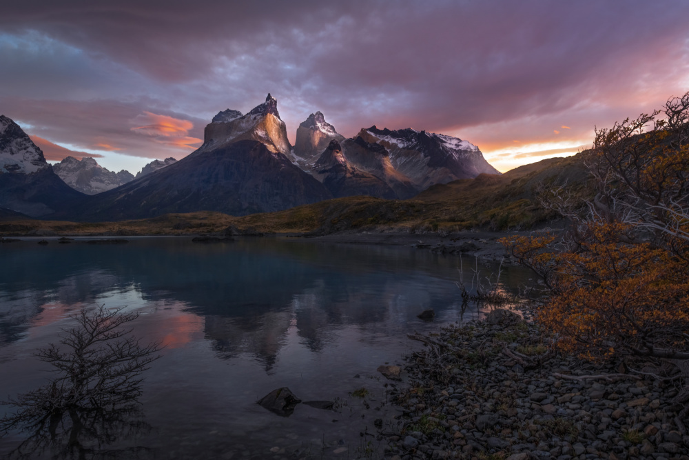 Lake View TDP von James S. Chia