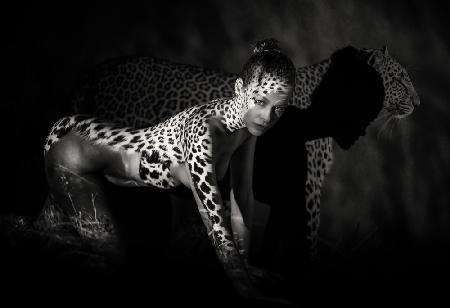 The Leopard