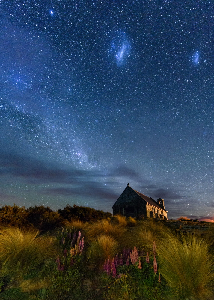 Lupins Milkway of Lake Tekapo von James Zhen Yu