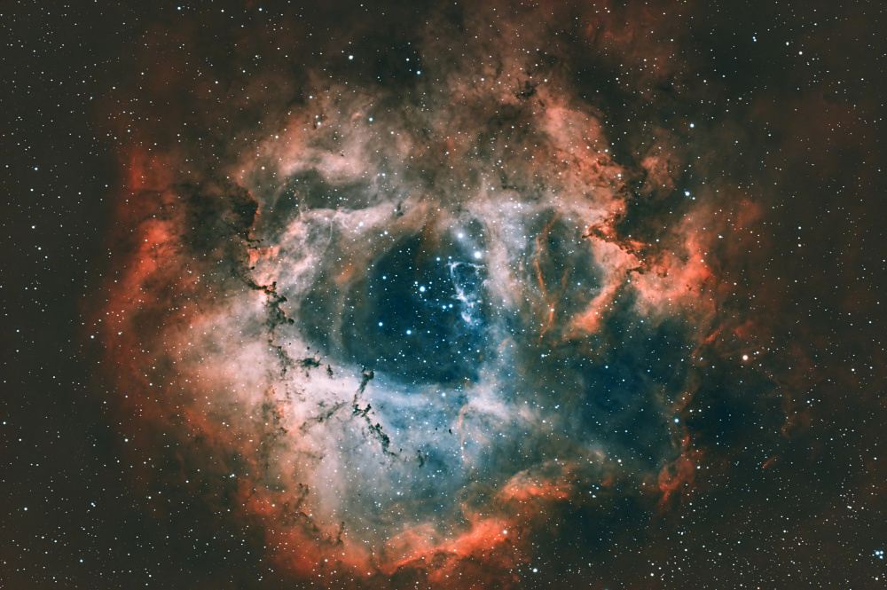 Rosette Nebula von James Zhen Yu