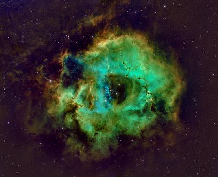 Rosette Nebula Hubble Plate