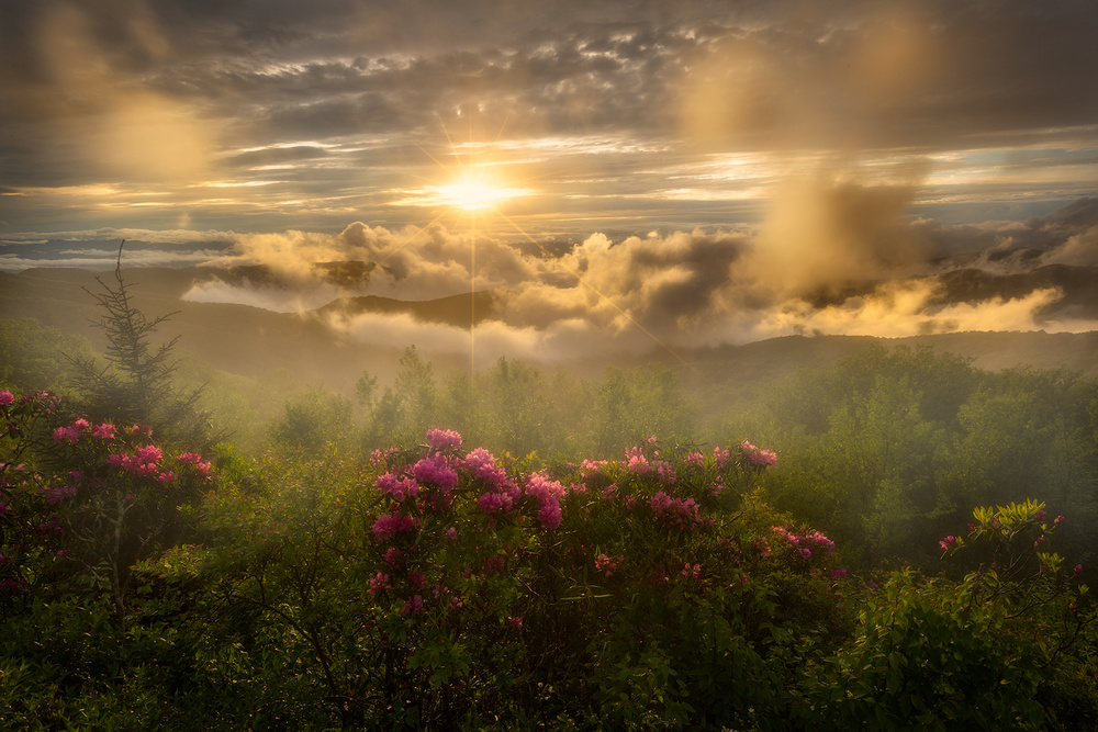 The Dreamland von J&ampampampW Photography