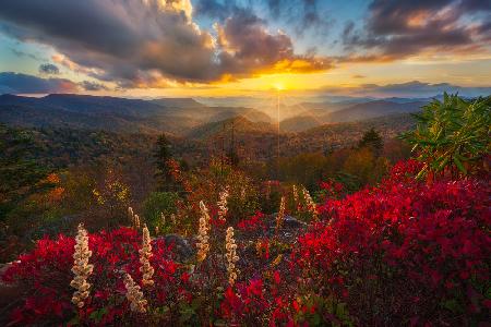 Golden Glow over The Blue Ridge