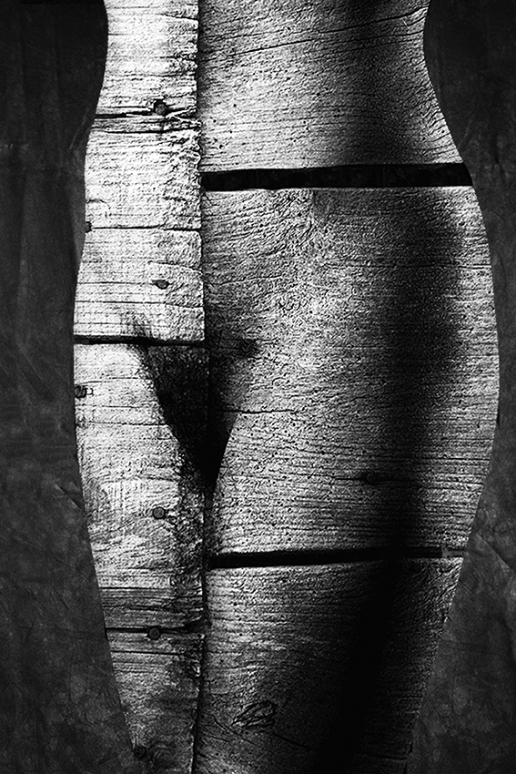 birch trunk von Jan Donckers