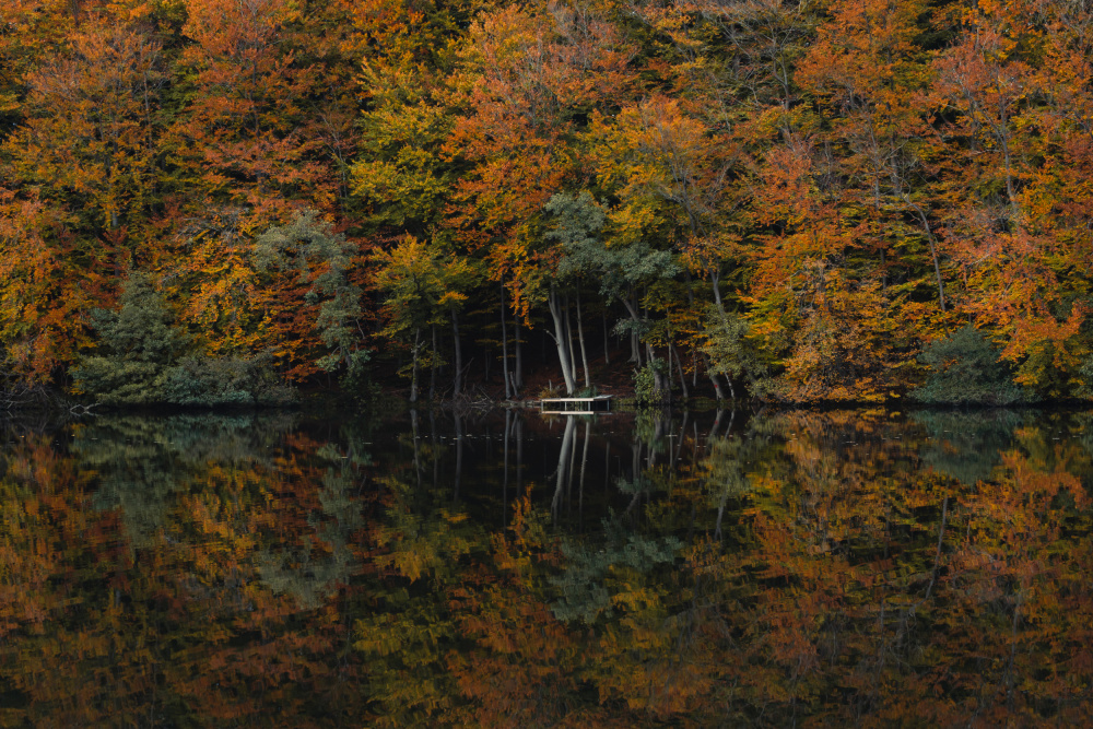 Autumn at the river von Jan Quedens