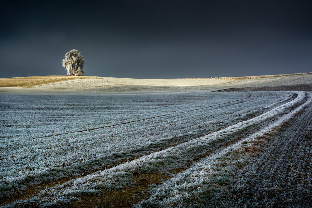 Frosty Acres von Jan Rauwerdink