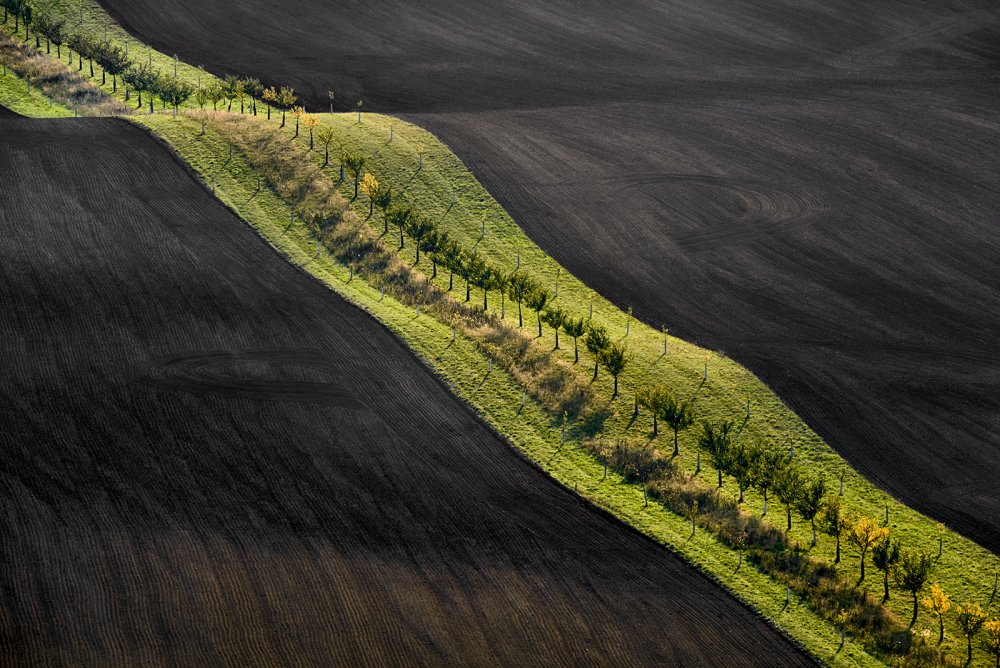 Moravian fields von Jan Sieminski - harb