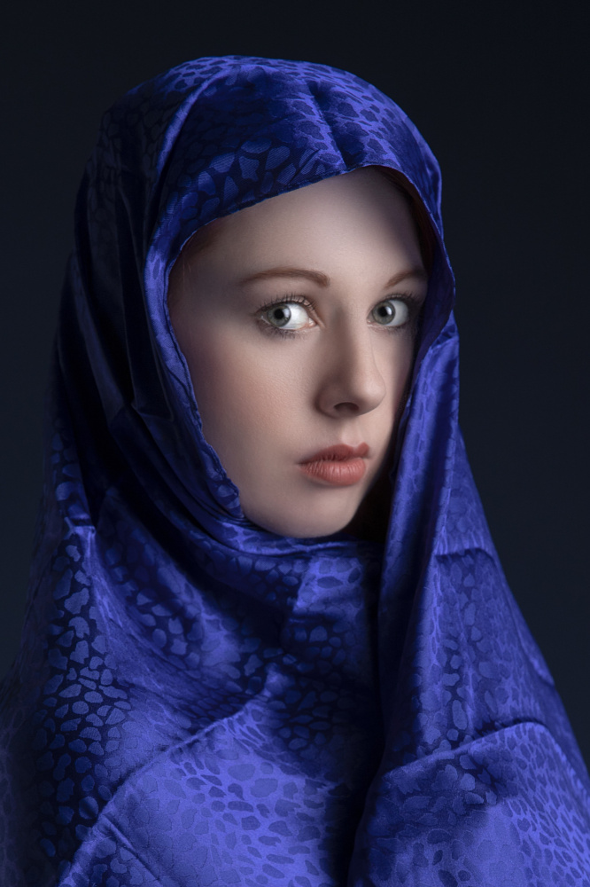 In Blue Silk von Jan Slotboom