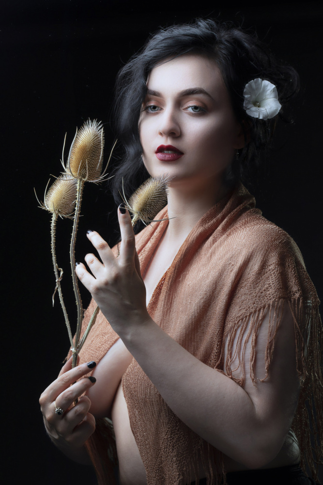 Teasel and Bindweed von Jan Slotboom