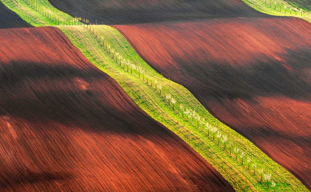 Waterslide von Jan Smid