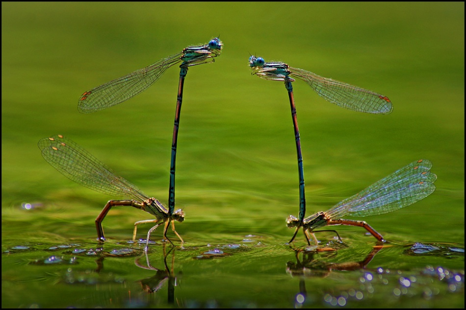 Together von Jan Zajc