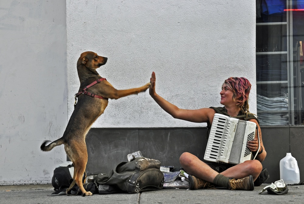 Tricks von Jane Lyons