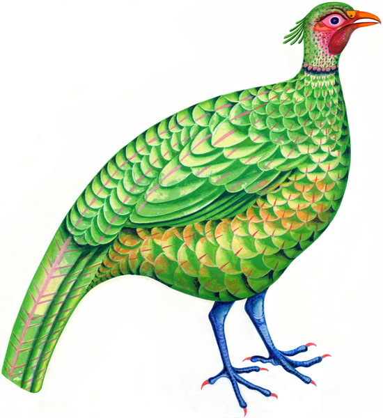 Pheasant von Jane Tattersfield