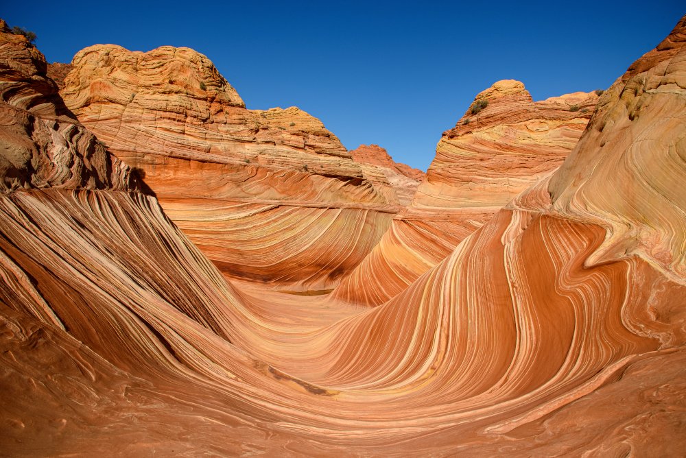 The Wave - Coyote Buttes North von Janez Šmitek