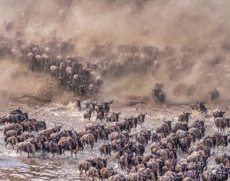 Chaos at the Crossing