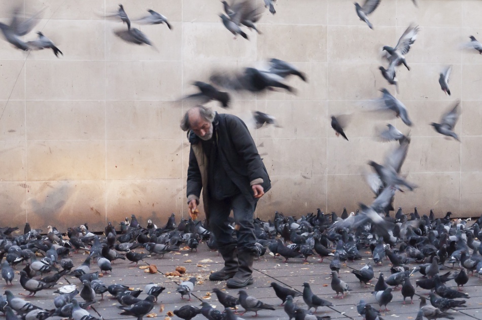 Lord of the pigeons von Jaro Ličko