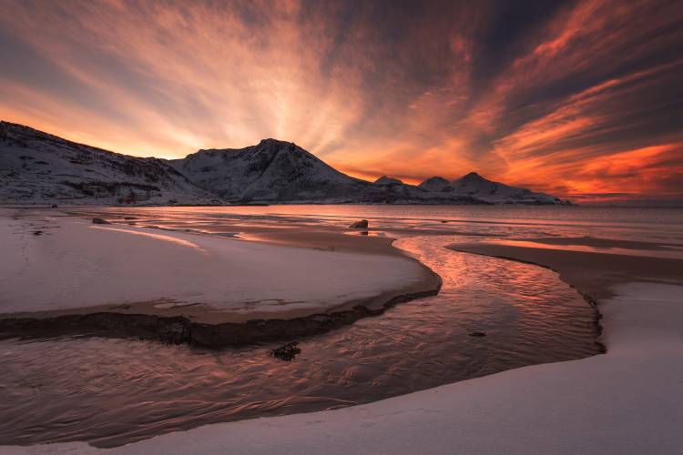 Golden Sunset von Jaroslav Zakravsky