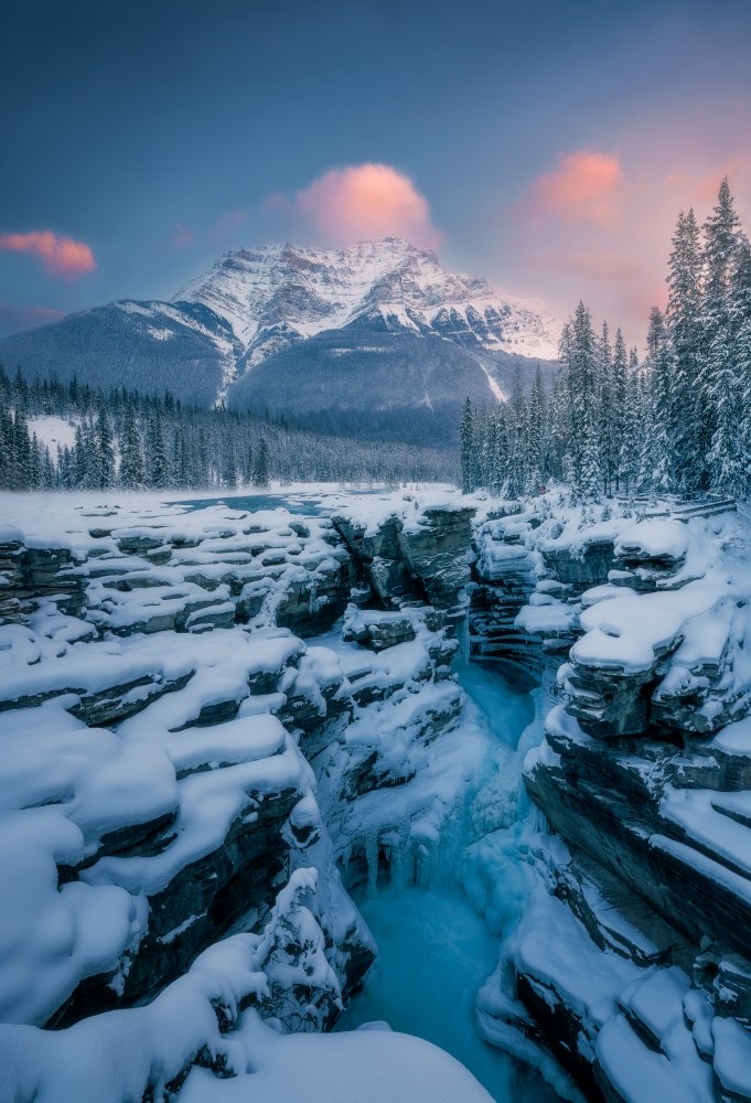 Athabasca Falls von Jasmine Suo