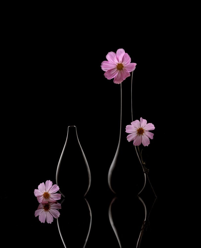 Flowers and vases von Jasmine Suo