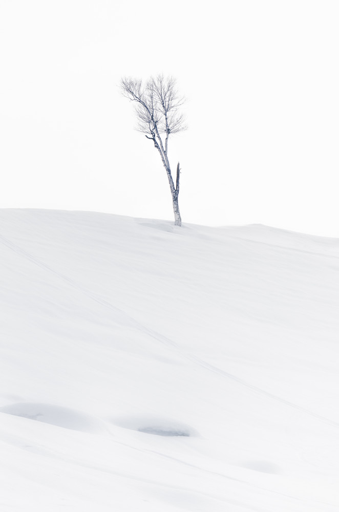 Lonely at Top von Jassi Oberai