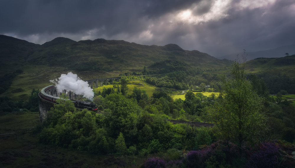 On the Way to Hogwarts von Javier de la Torre