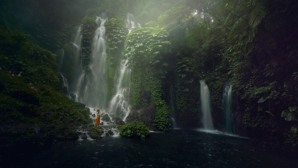 Banyu Wana under the rain von Javier de la Torre