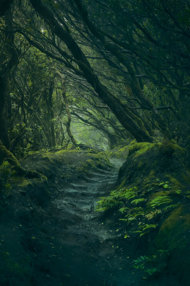 Entering Fangorn von Javier de la Torre