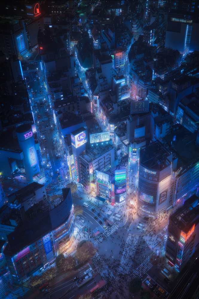 Flying Shibuya von Javier de la Torre