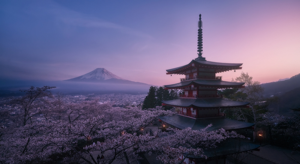 Mt Fuji Sakura von Javier de la Torre