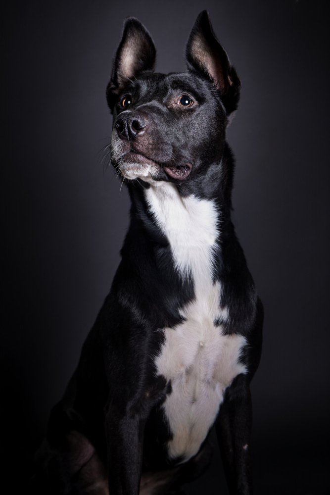 Pebbles von Javier del Puerto Photography