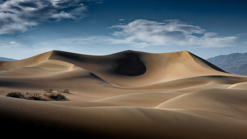 Dunes, Death Valley, CA von Jay Marik