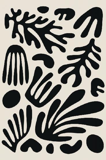 Henri Matisse Black Algae Collection #3