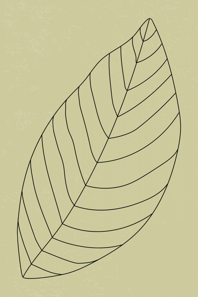 Minimal Leaves #3 von jay stanley