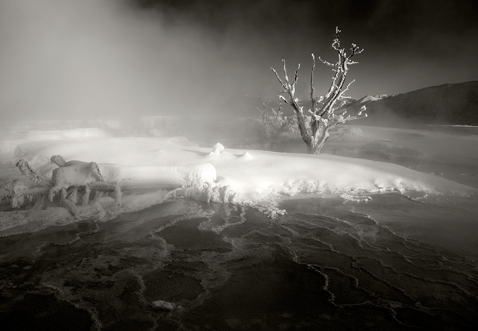 Mammoth Hot Springs, 2009 von Jay Wesler