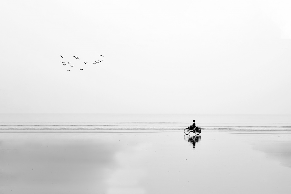 CYCLE AND THE BIRDS von JAYATU CHANDRA DAS