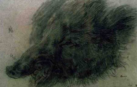 Head of a Wild Boar von Jean-Baptiste Siméon Chardin