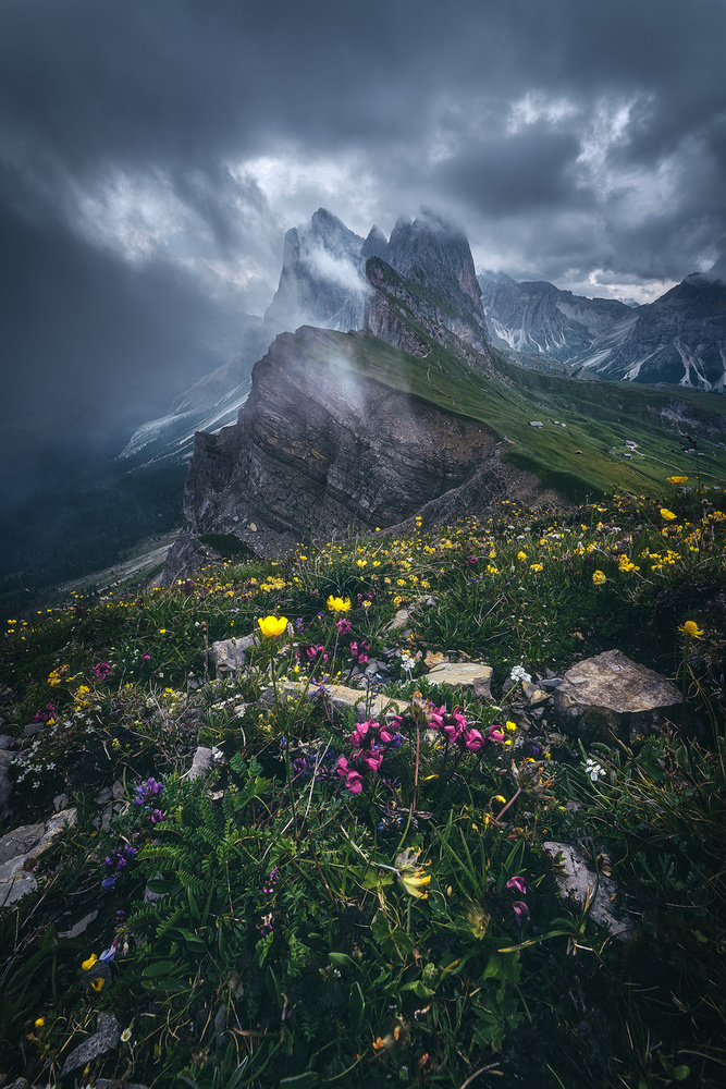 Dolomites - Seceda 2500 von Jean Claude Castor