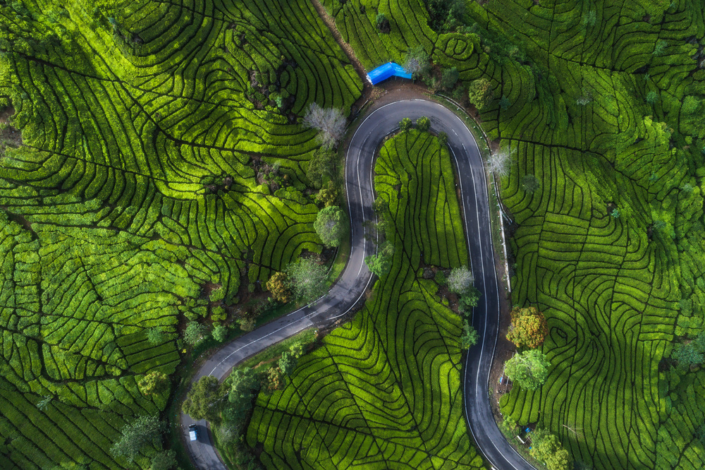 Indonesia - Rancabali Tea Aerial von Jean Claude Castor