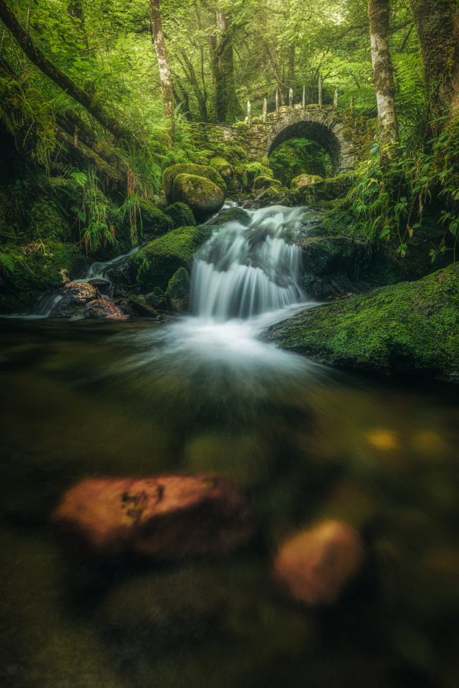 Scotland - Fairy Glen Bridge von Jean Claude Castor