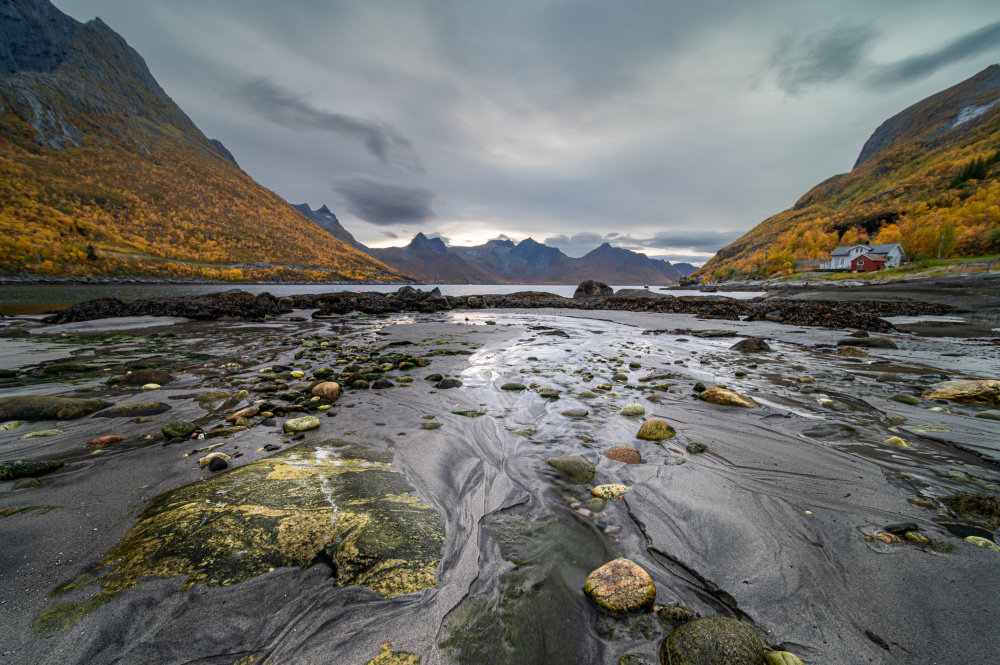 Water always runs to the sea von Jean Vandijck