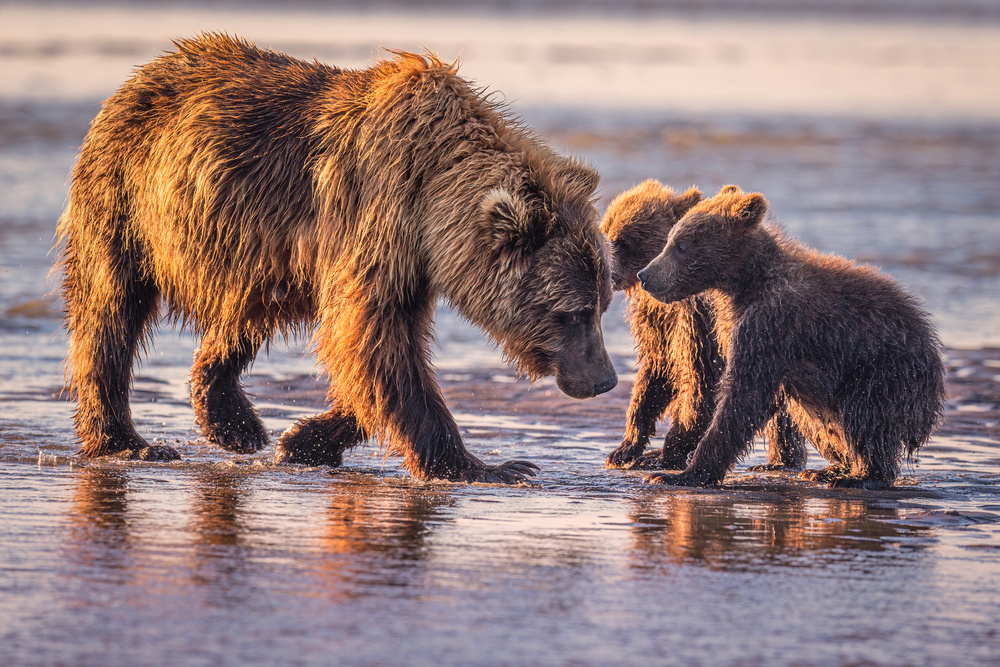 Eye to eye von Jeffrey C. Sink