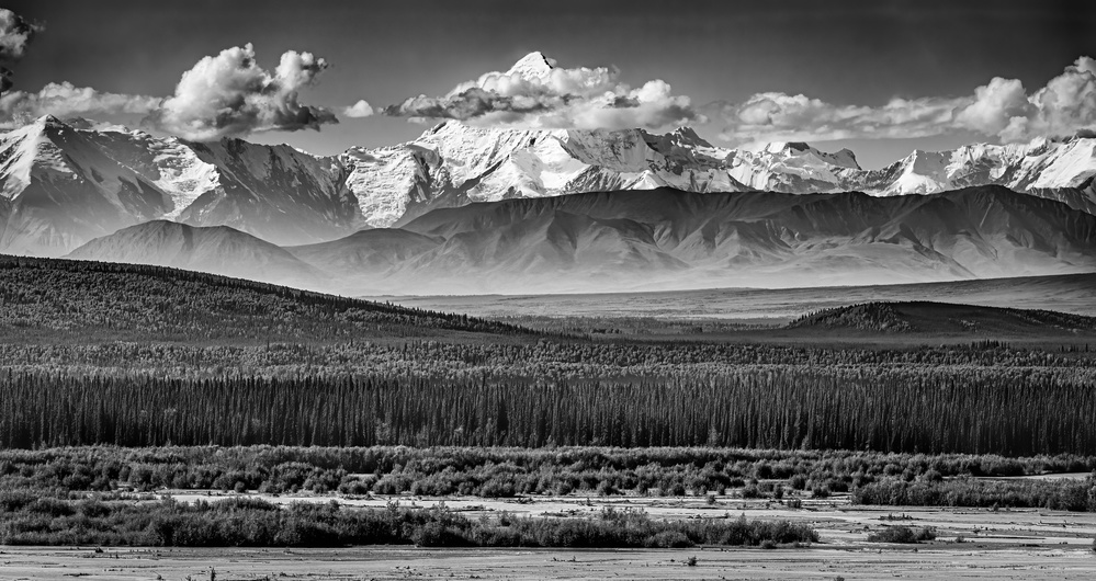 The Alaskan Range von Jeffrey C. Sink