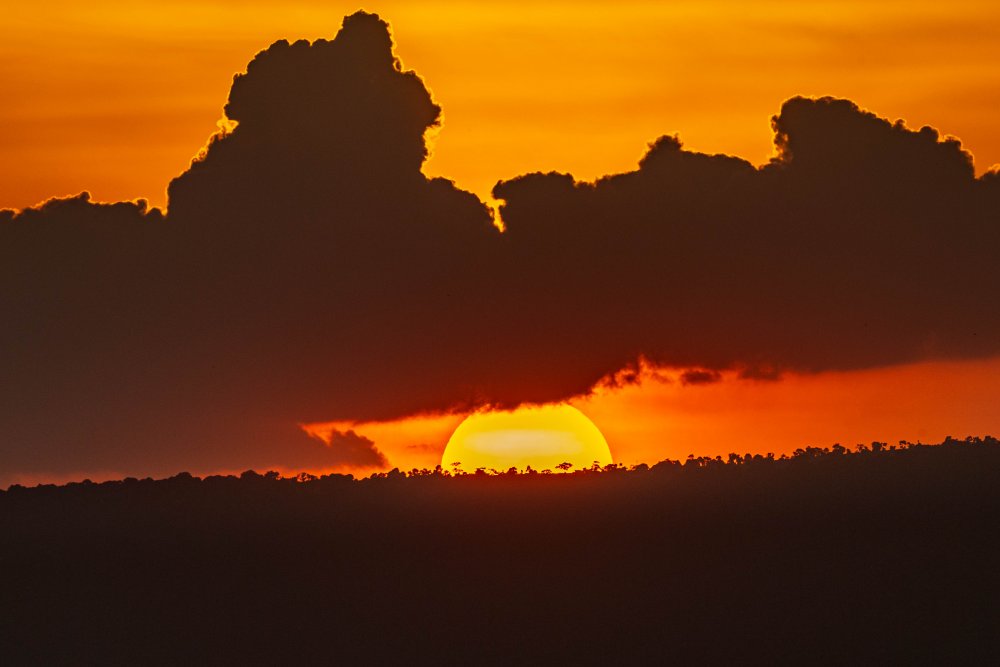 Last night in Africa von Jeffrey C. Sink