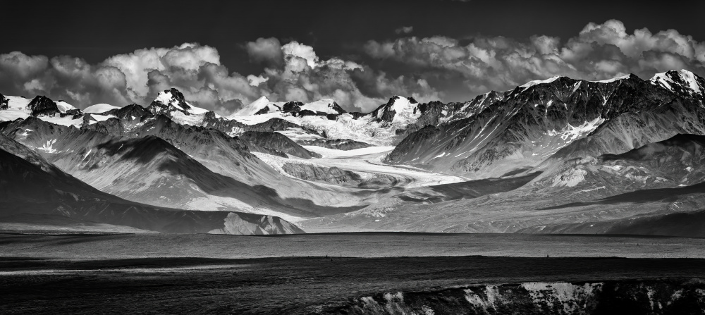 MacClaren Glacier von Jeffrey C. Sink