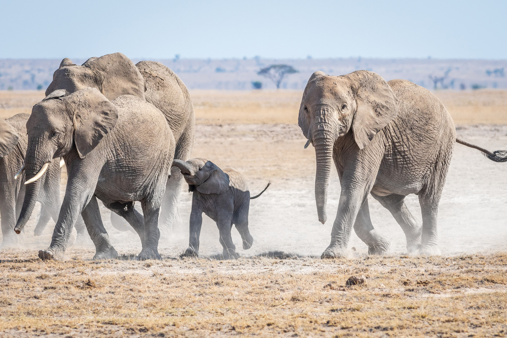 Slow down mom.... von Jeffrey C. Sink